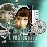 Captured Memories Collection