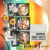 Captured Memories Journal Cards