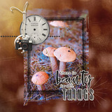 Captured Memories Paper Pak