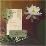 Boho Botanicals Collection