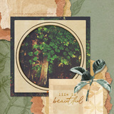 Boho Botanicals Collection