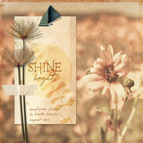 Boho Botanicals Collection