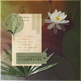 Boho Botanicals Paper Pak