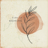 Boho Botanicals Paper Pak