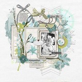 Lila Bleu Scrapbooking Bundle