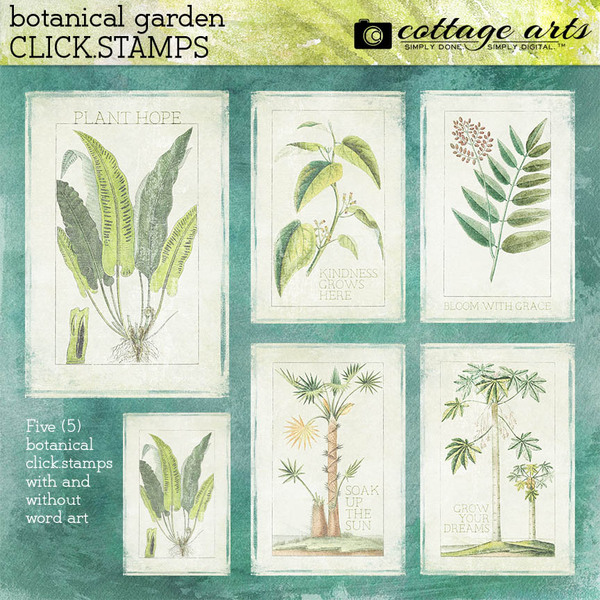 Botanicals Collection. Design Botanical Garden Collection | Digital Art