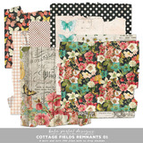 Cottage Fields Remnants 01