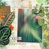 Botanical Garden AlphaSet