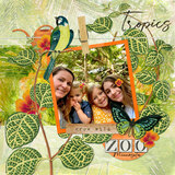 Botanical Garden Paper Pak