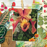 Botanical Garden Paper Pak