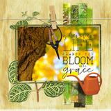 Botanical Garden Paper Pak