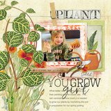 Botanical Garden Paper Pak