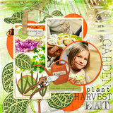 Botanical Garden Paper Pak