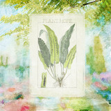 Botanical Garden Paper Pak