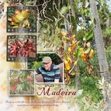 Artistic License Grunged Up Set 1 - 12x12