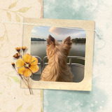 Watercolor Memories Pre-designed Coasters