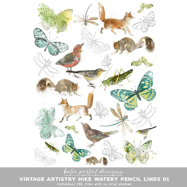 Vintage Artistry Hike Watery Pencil Lines 01 Digital Art - Digital Scrapbooking Kits