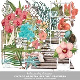 Vintage Artistry Beached Ephemera