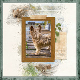 Simply Storyboards 5 - 12x12 Pre-designed Book