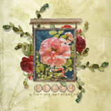 In Full Bloom AlphaSet