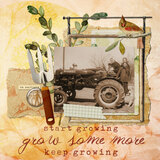 In Full Bloom Scrap.Words