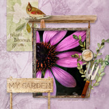 In Full Bloom Paper Pak