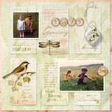 In Full Bloom Paper Pak