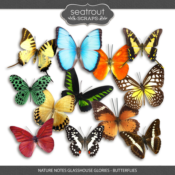 Nature Notes Glasshouse Glories - Butterflies Digital Art - Digital Scrapbooking Kits