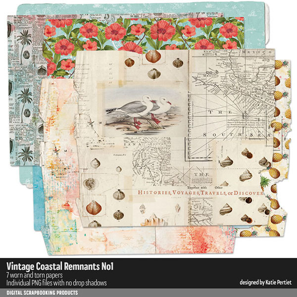 Vintage Coastal Remnants 01 Digital Art - Digital Scrapbooking Kits