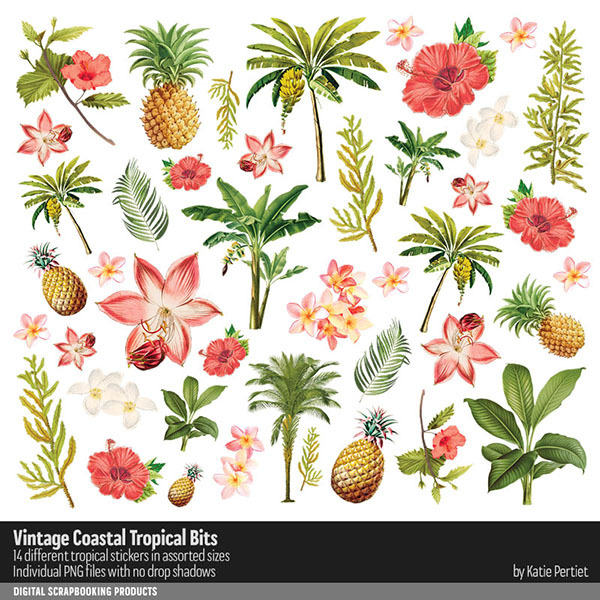 Vintage Coastal Tropical Bits Digital Art - Digital Scrapbooking Kits