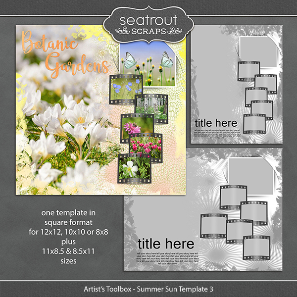 Artist's Toolbox - Summer Sun Template 3 Digital Art - Digital Scrapbooking Kits