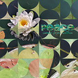 Shape Blends Collection 2