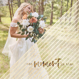 Shape Blends Collection 2