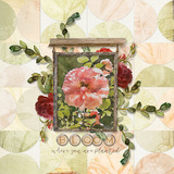 Shape Blends Collection 2