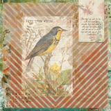 Shape Blends Collection 2