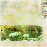 This is Life Scrap.Words Collection