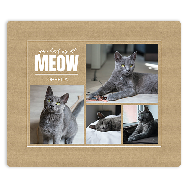 You Had Us at Meow Mouse Pad