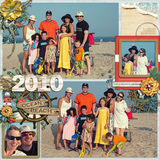 Down The Shore Papers