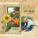 Click.Artistry Shape Blends 6