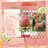 Summer Stories Collection