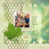 Summer Stories Collection