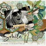 Mosaic Memories Collection