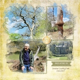 Art-Effects Bonus Bundle