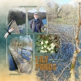 Art-Effects Bonus Bundle