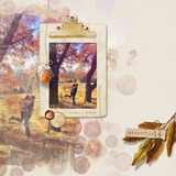 Autumn Colors Danglies