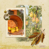 Autumn Colors Element Pak