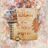 Autumn Colors Paper Pak