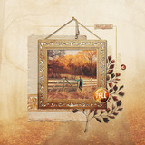 Autumn Colors Paper Pak