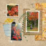 Sew Beautiful Pre-designed Pages