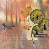 Painted Forest Frame Clusters